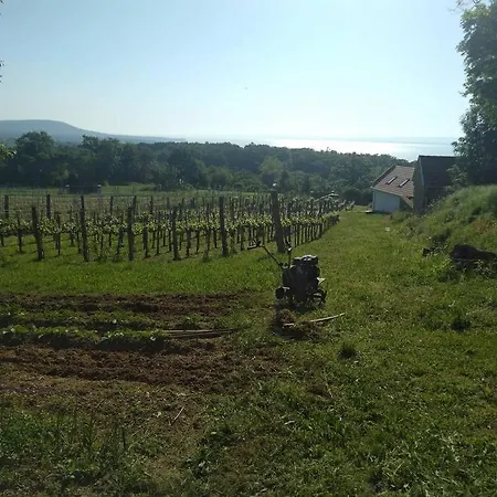 Sun & Wine Balaton Holiday home