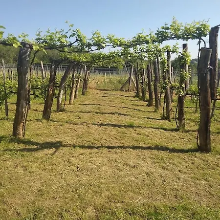 Sun & Wine Balaton Holiday home Badacsonytomaj